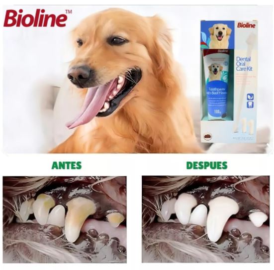 Set Cuidado Dental Bioline Para Perro